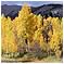 Photos de paysage