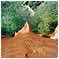 Colorado Provencal : Rustrel - Roussillon