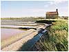 noirmoutier01.jpg