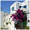 Photos de voyage :: Grèce :: Cyclades :: Folegandros