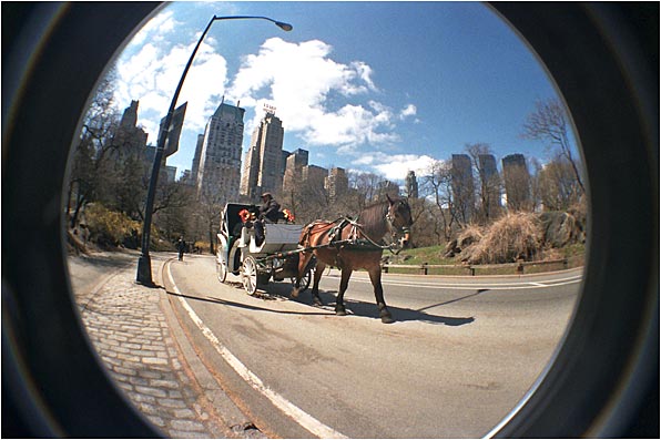 balade dans Central Park