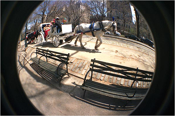 Promenade à cheval dans Central Park