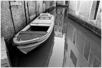 Cliquez sur la vignette pour agrandir la photo