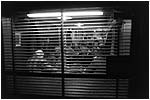Cliquez sur la vignette pour agrandir la photo