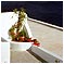 Santorini :: Photos de la Grece