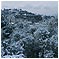 Vacances sous la neige... Marseille