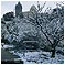 Vacances sous la neige... Marseille